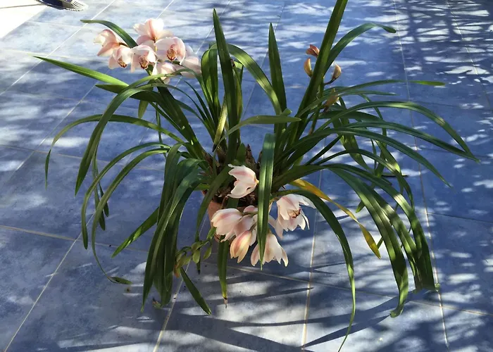 C By Interhome Lipari (Isola Lipari)